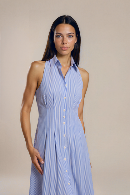 Blue Pinstripe Button-Down Midi Shirt Dress – Sleeveless